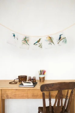 Women Lazybones Australian Birds Garland *Organic Cotton