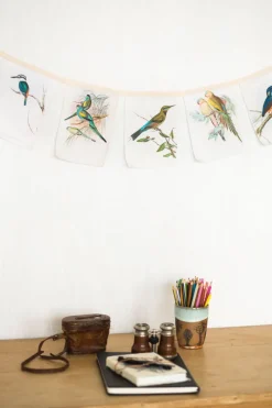 Women Lazybones Australian Birds Garland *Organic Cotton