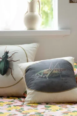 Women Lazybones Grasshopper Cushion Cover