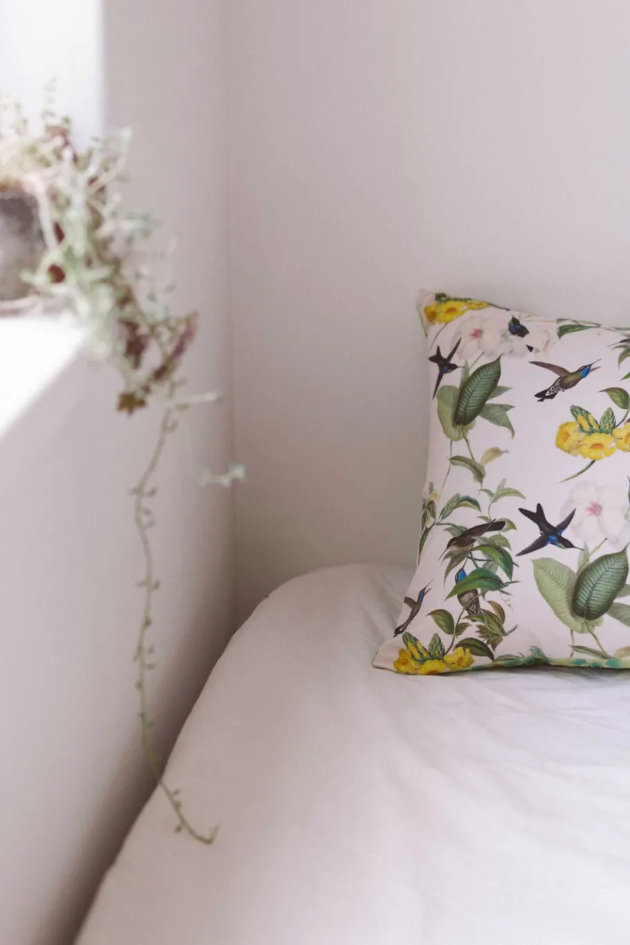 Women Lazybones Hummingbird Pillowcase Set *Organic Cotton