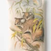 Women Lazybones Koala - Lavender Scented Sachet