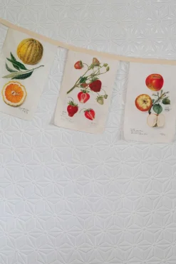 Women Lazybones Vintage Fruit Garland